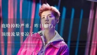 娱乐吃瓜 小故事视频,揭秘小故事背后的娱乐圈风云